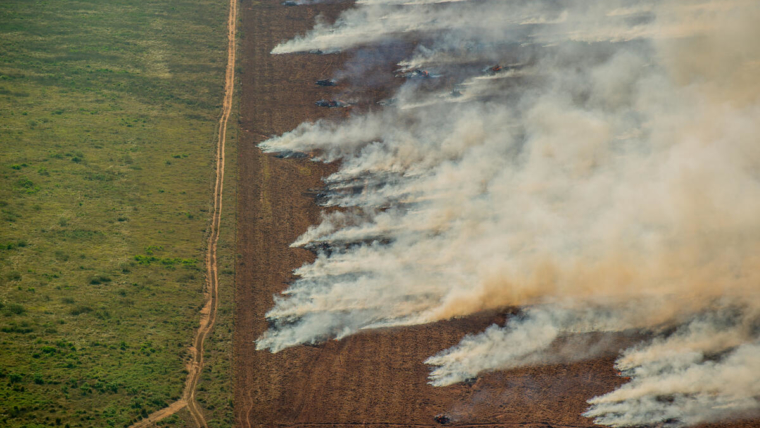 Deforestation and Fire Monitoring in the Amazon in July, 2020Monitoramento de Desmatamento e Queimadas na Amazônia em Julho de 2020